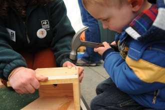Nest box building by Amy Lewis
