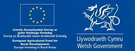Welsh Government European Agricultural Fund for Rural Development logo