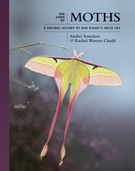 Moth book cover
