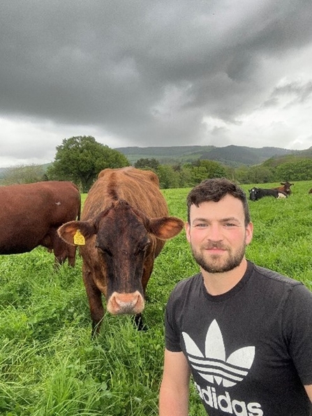 Huw Foulkes standing in a field of grass with cattle