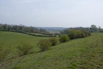 Brockwells Meadows SSS