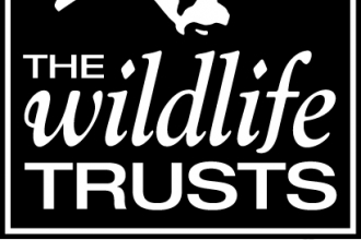 Home | Gwent Wildlife Trust