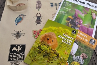 Home | Gwent Wildlife Trust