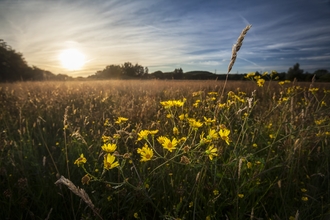 View across Gwent Levels looking at the sun