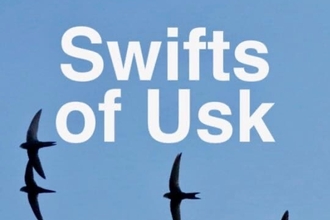 Imgae and logo for Swifts of Usk
