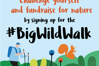 Big Wild Walk 2024 Poster - English