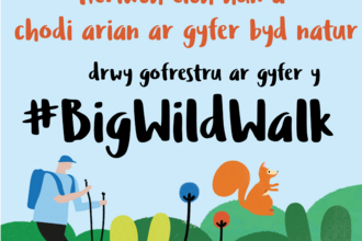 Big Wild Walk 2024 Poster - Welsh