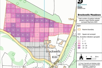 Gridmap showing species diversity at Brockwells Meadow