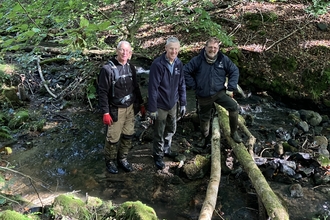 Leaky Dams at Silent Valley Nature Reserve