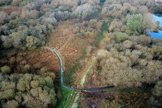 Areal image of water vole alley, pre clearance 2024