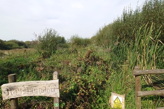 Ditch work at Magor