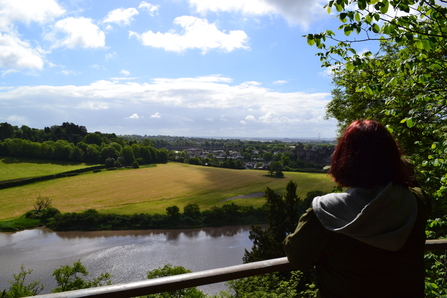 View from the alcove - Piercefield Woods - Lowri Watkins