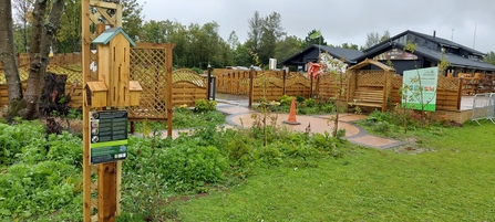 Butterfly Shelter at Parc Bryn Bach