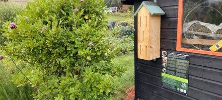 Butterfly Shelter at Mardy Park