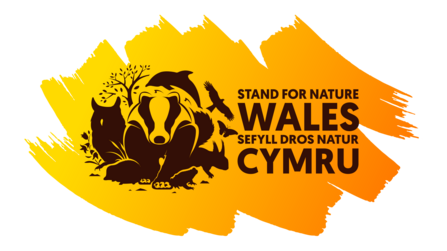 Stand for Nature Wales logo