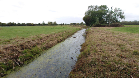 Bridewell Common ditch before culvert instalation