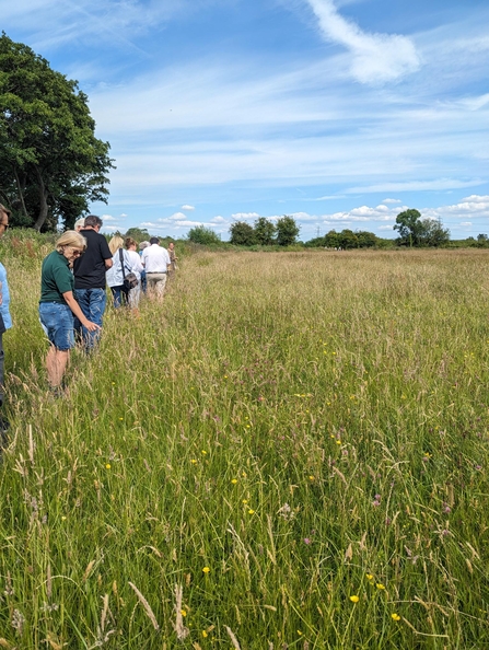 Visitors at the Bridewell Common opening event enjoying a tour of the new nature reserve