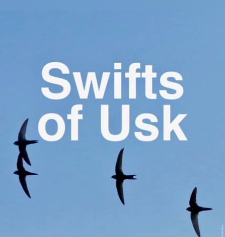 Imgae and logo for Swifts of Usk