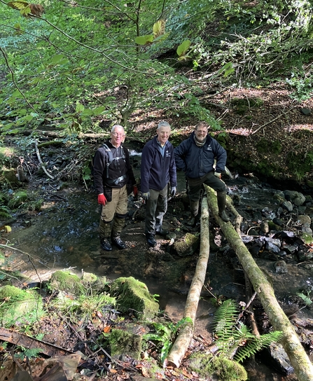 Leaky Dams at Silent Valley Nature Reserve