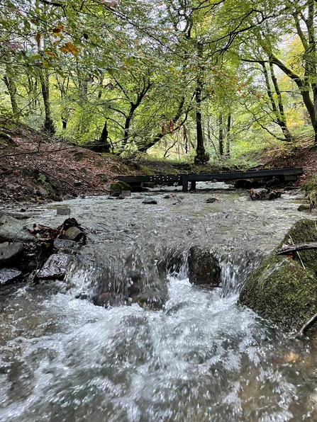 Nant Merddog 