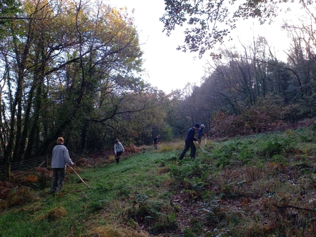 Volunteers scything Branches Fork Meadows Reserve