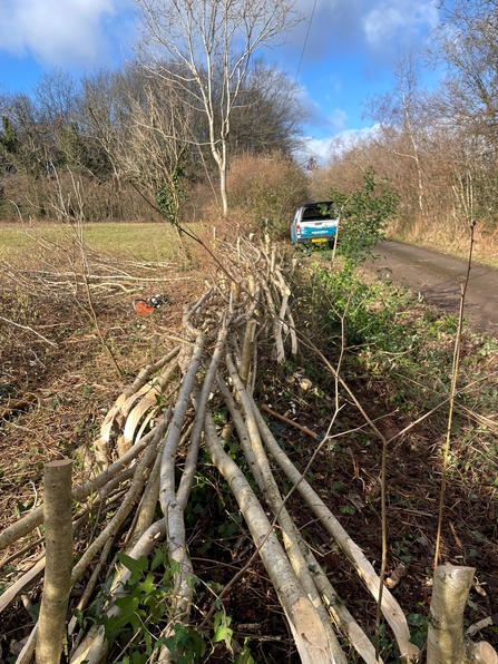 Lower Minett Hedgelaying 