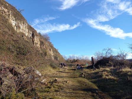 Cotoneaster removal at Blackrock Quarry