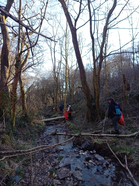 Riverclean on the Nant Merddog at Silent Valley 